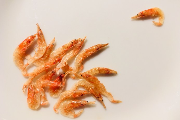 桜エビ　© at 527