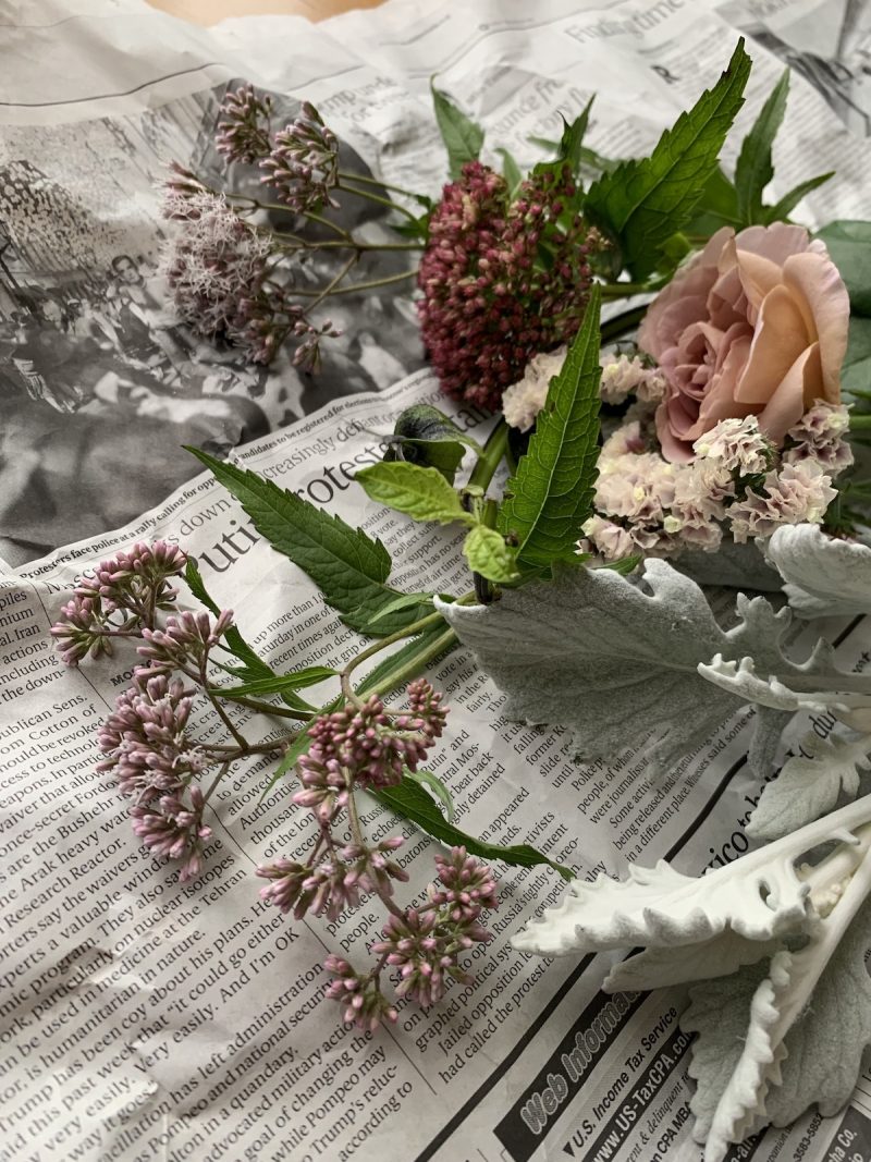 Flowers, photo by Yoko Kadokawa