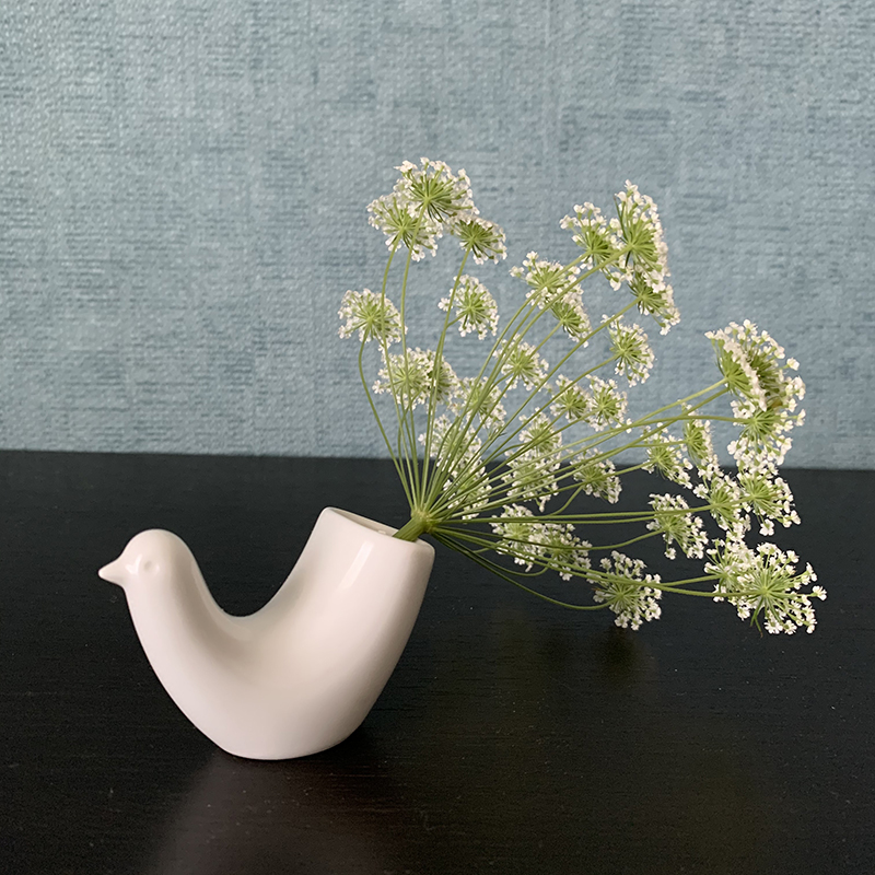 Photo by Yoko Kadokawa