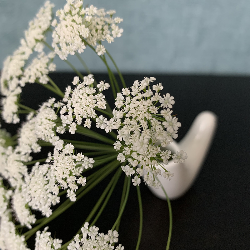 Photo by Yoko Kadokawa