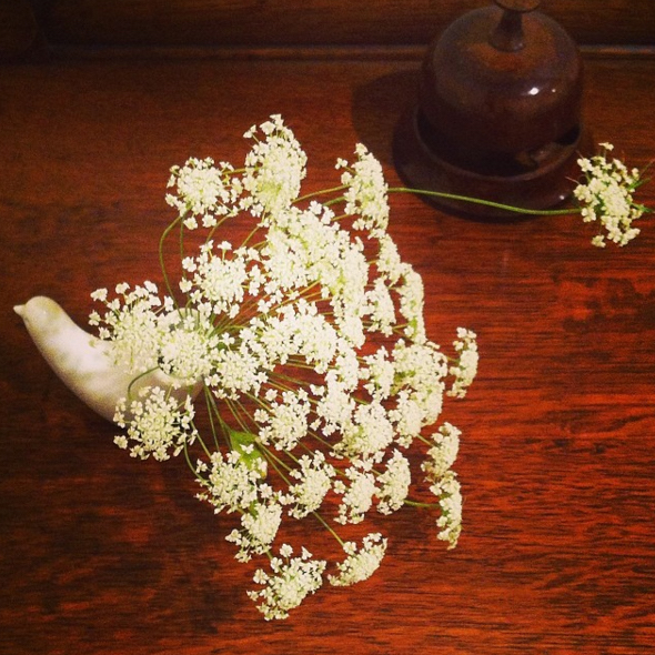 Photo by Yoko Kadokawa