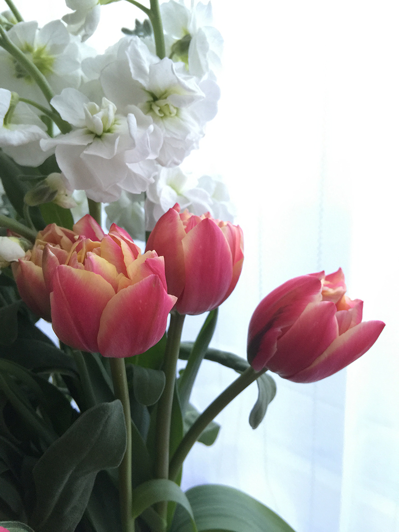 ラナンキュラスと春の花、Photo by Yoko Kadokawa