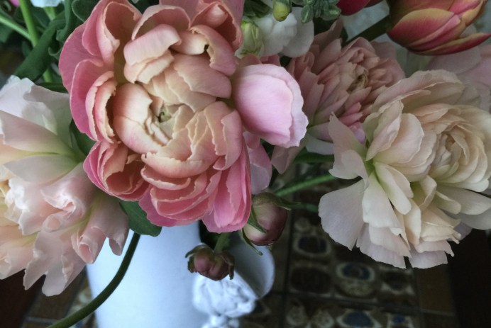 ラナンキュラスと春の花、Photo by Yoko Kadokawa