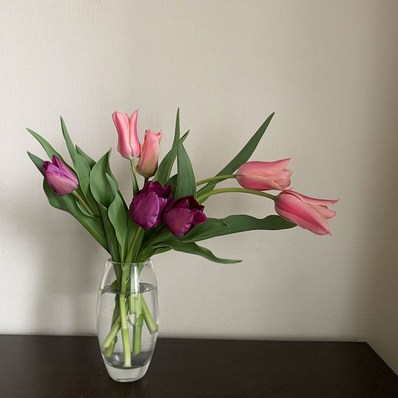 ガラスの花瓶に生けたチューリップ　Photo by Yoko Kadokawa