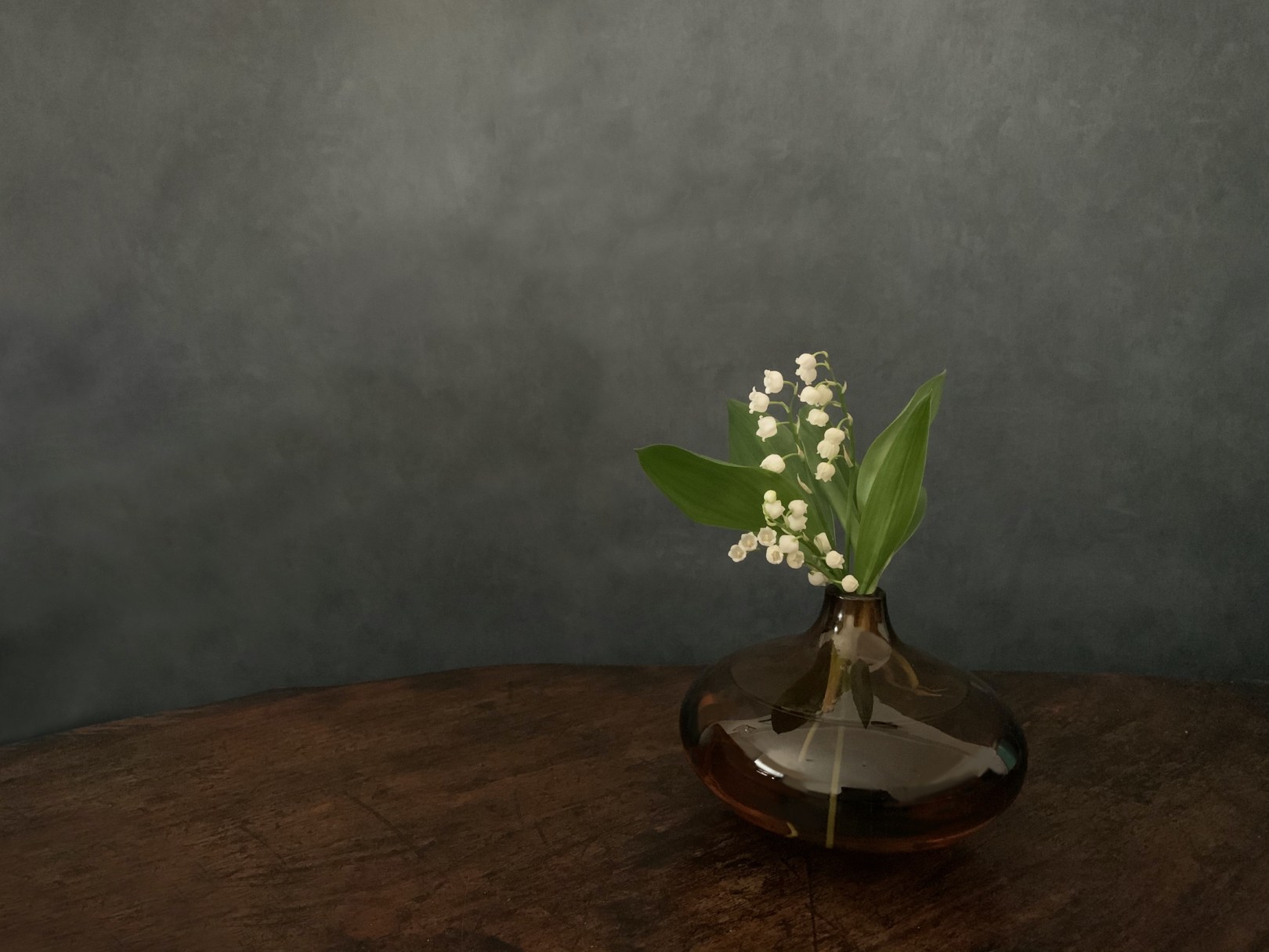 すずらん　Photo by Yoko Kadokawa