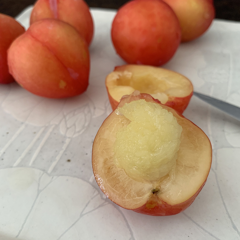 プラムのガレットのフィリングを作る