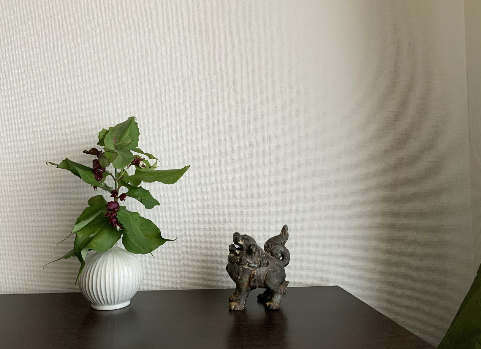 コエビソウ（小海老草）、別名ペロペロネ、学名：Justicia brandegeeana