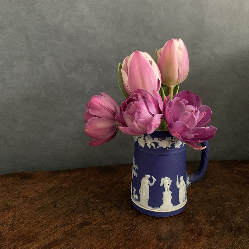 短くなったチューリップは小さな器に Photo by Yoko Kadokawa