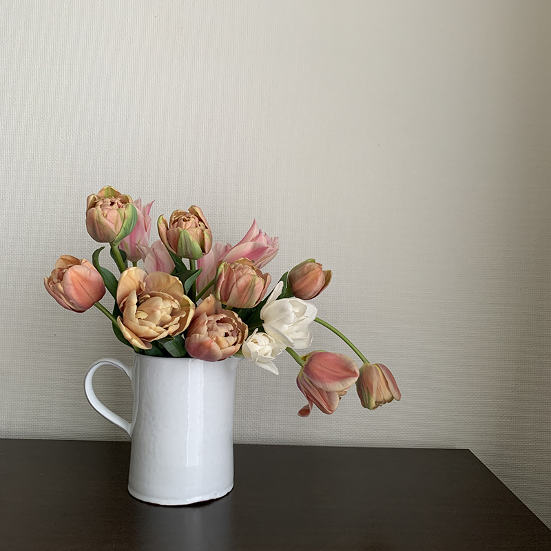 八重咲きでくすんだオレンジが美しいチューリップ、ベルエポック Photo by Yoko Kadokawa