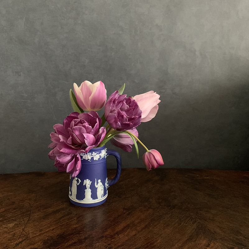 たっぷり2ヶ月楽しんだ2021年のチューリップ生活 Photo by Yoko Kadokawa